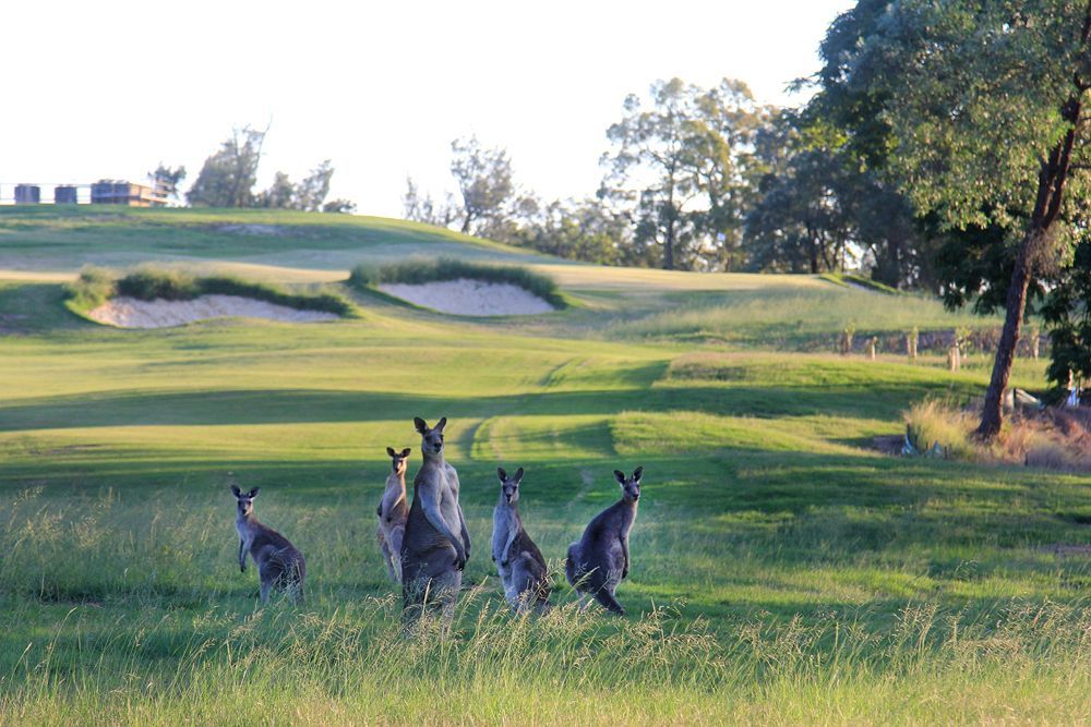 Riverside Oaks Golf Resort Cattai Экстерьер фото